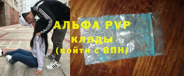 стафф Алексин