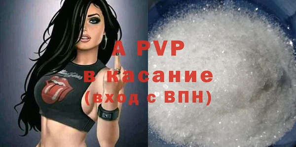 стафф Алексин