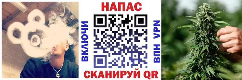 OMG как зайти  Дегтярск  Бошки Шишки планчик 